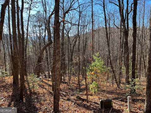 Land, Clayton, GA
