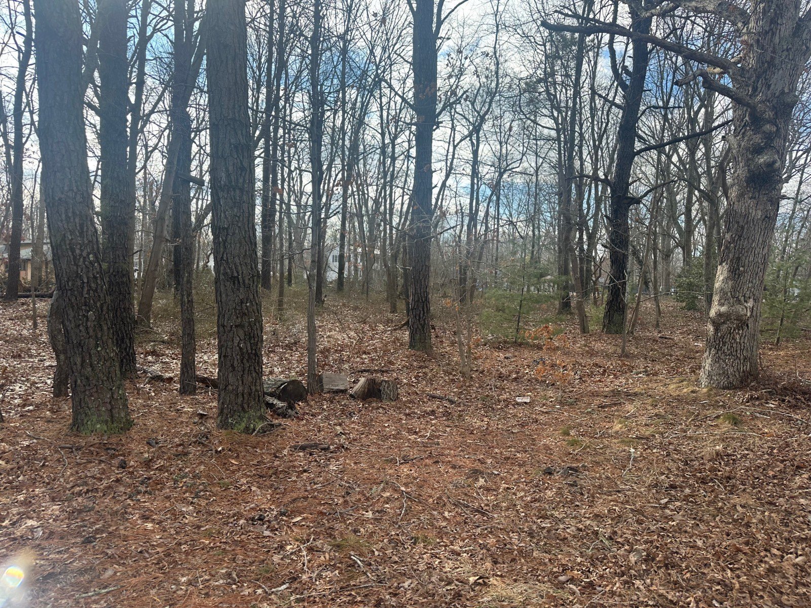 Corner Land in Jackson, NJ