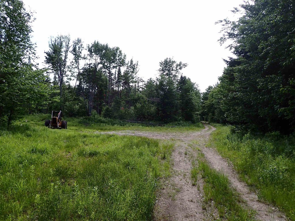 Picture 27