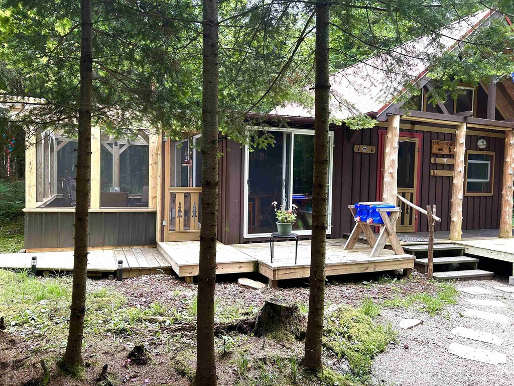Picture 5