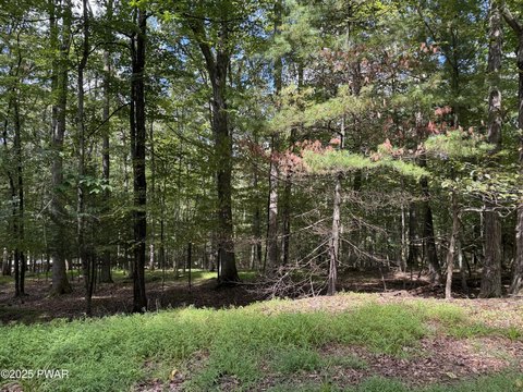 Wooded Lot Near Lake Wallenpaupack