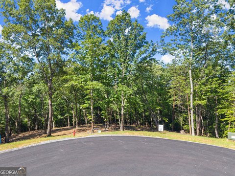 LAND - Cleveland, GA