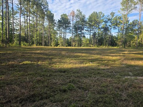 Land, Andalusia, AL