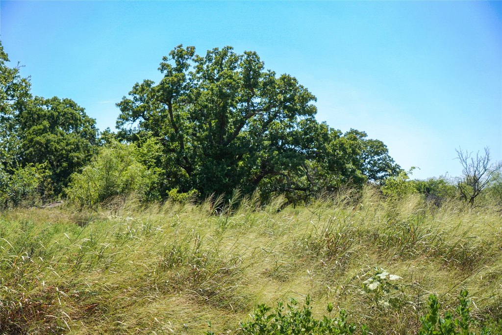 Picture 23