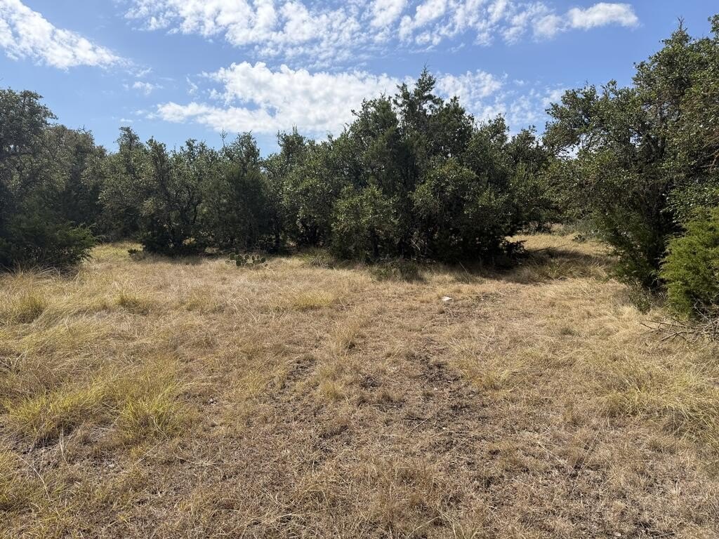 Picture 18