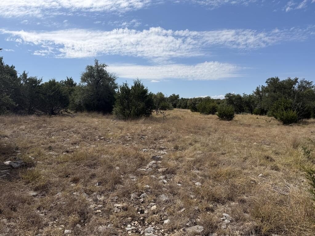 Picture 12