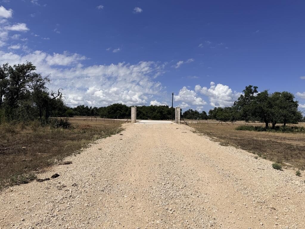 Picture 21