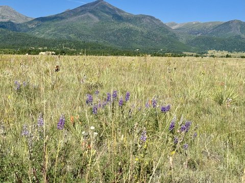 Expansive Rural Land with Mountain Views