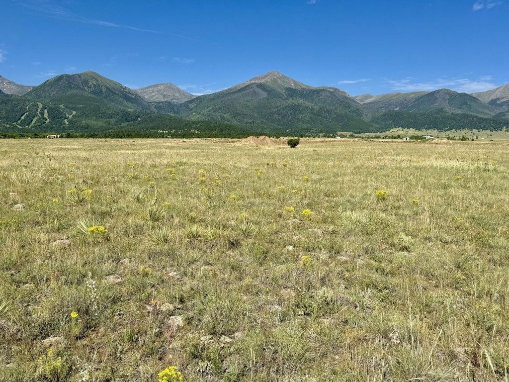 Picture 20