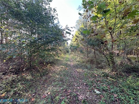 Secluded Wooded Land in Saluda