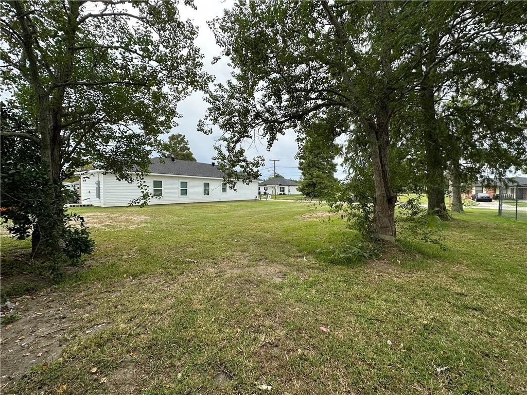 Picture 4
