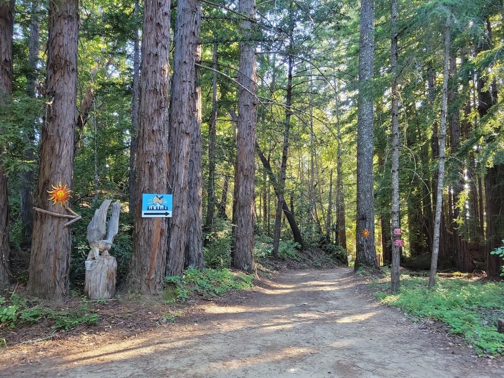 Picture 35