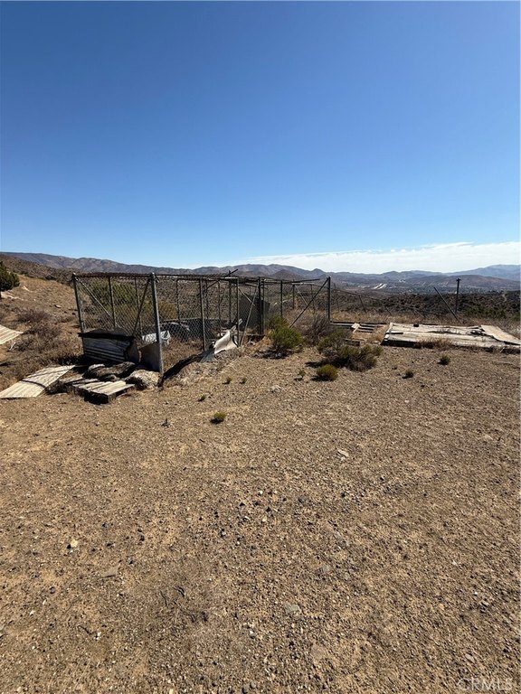 Picture 19