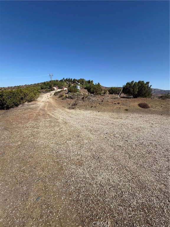 Picture 10