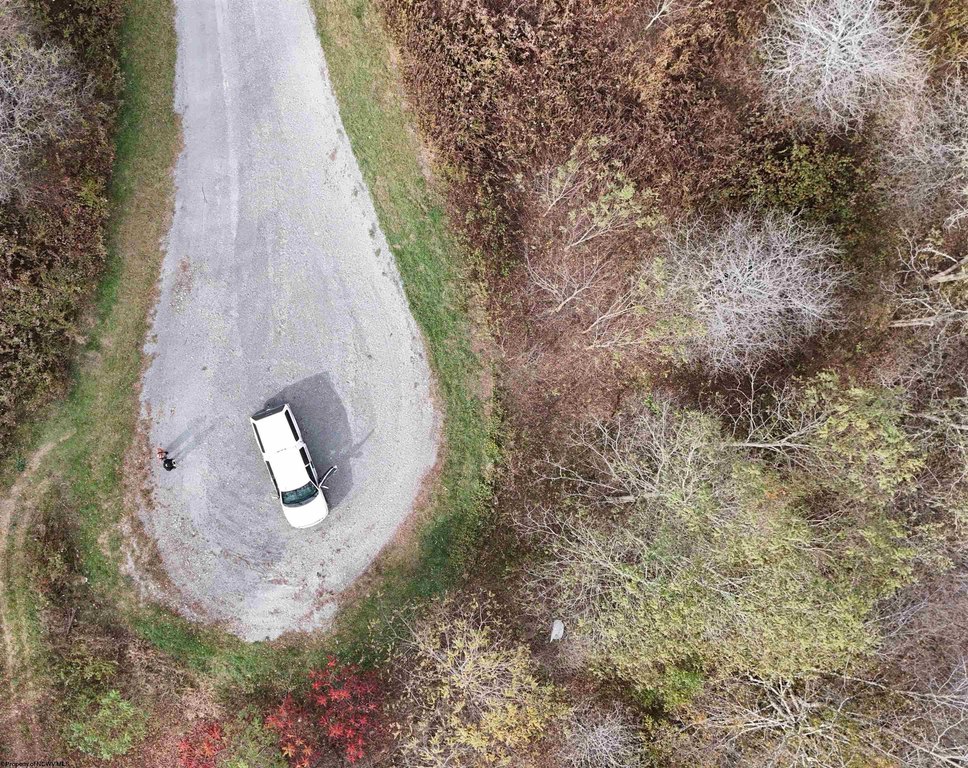 Picture 2