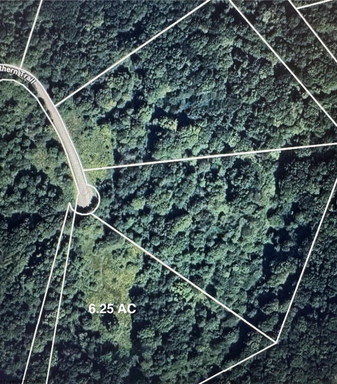 Picture 5