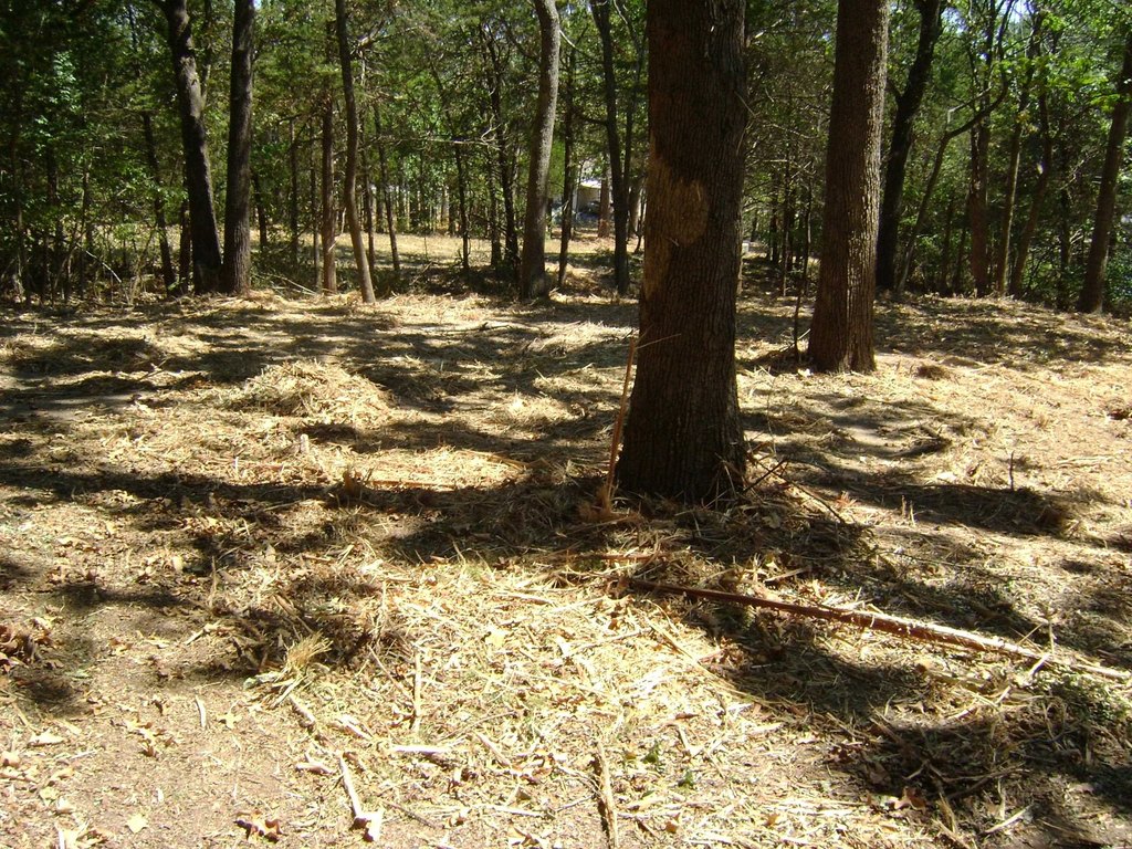 Picture 20