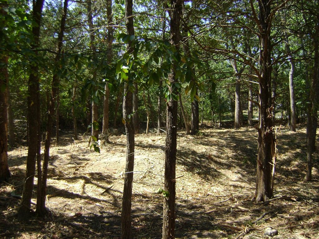 Picture 16