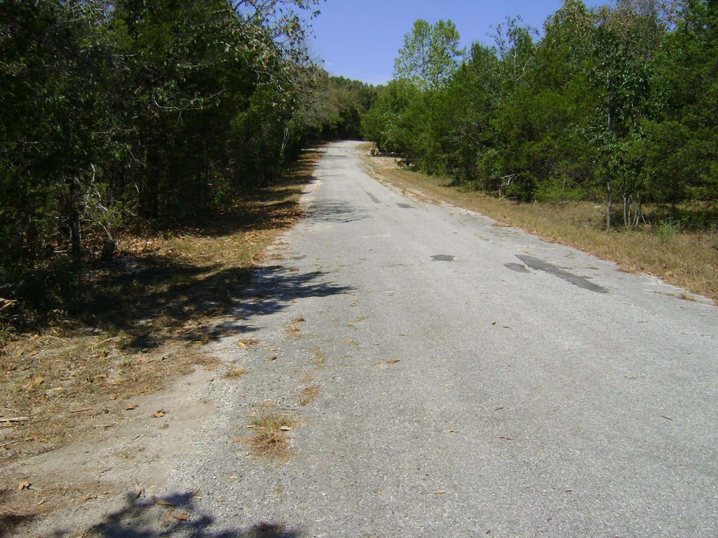 Picture 8