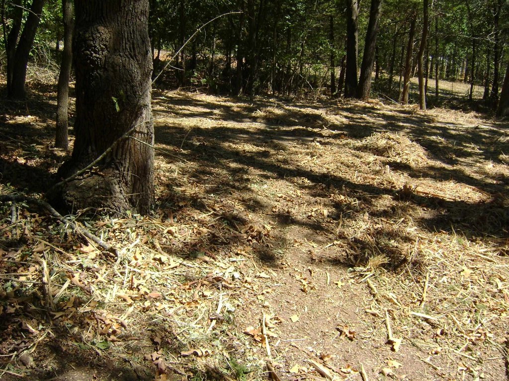 Picture 19
