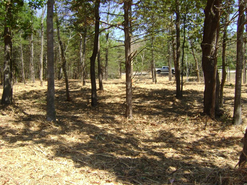 Picture 14