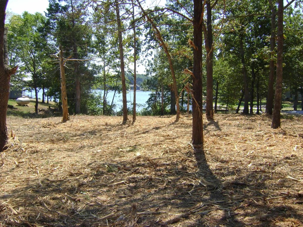 Picture 6