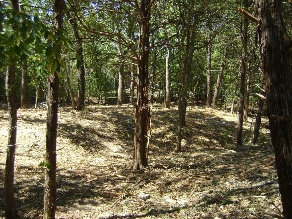Picture 17