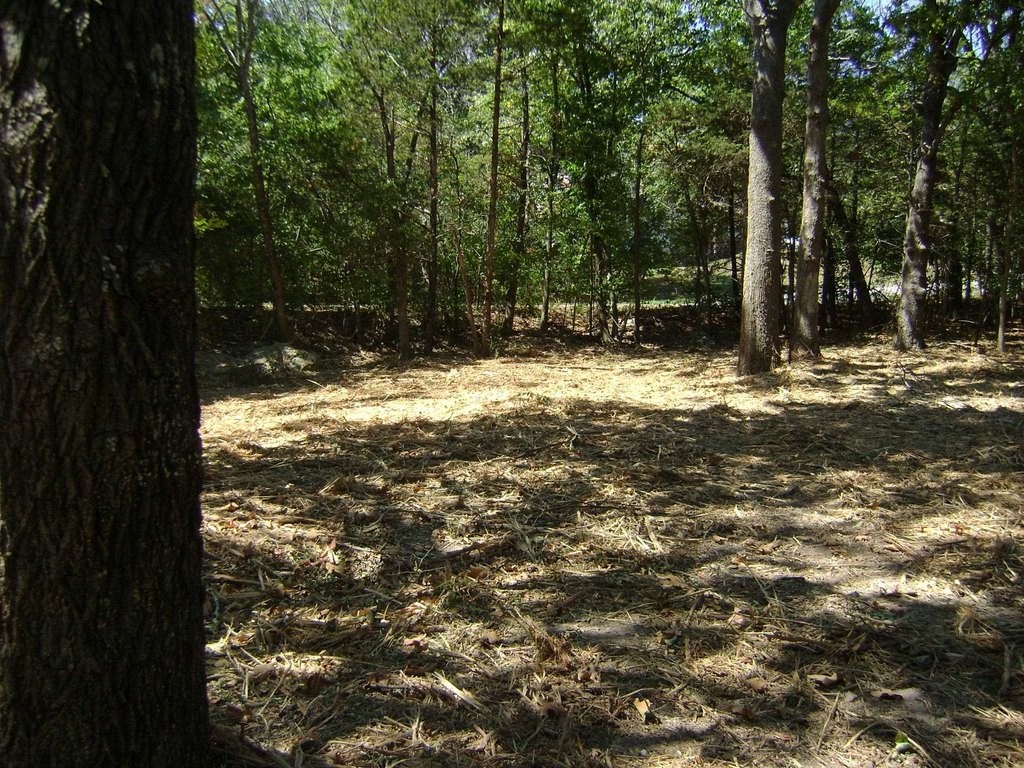 Picture 18
