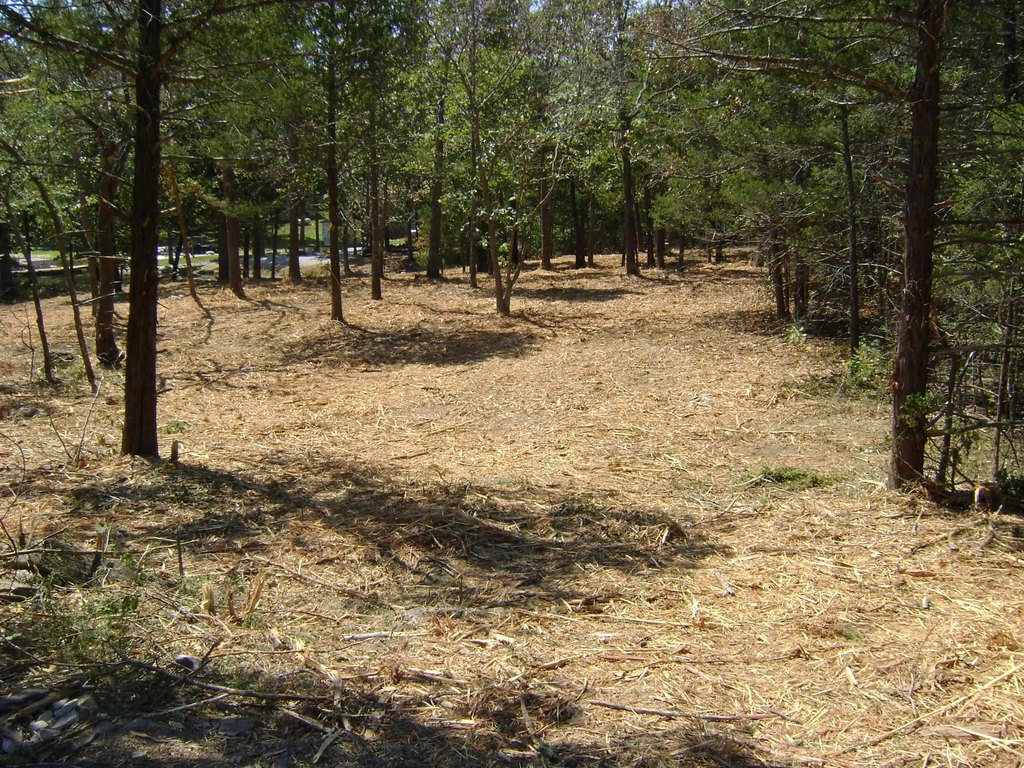 Picture 10