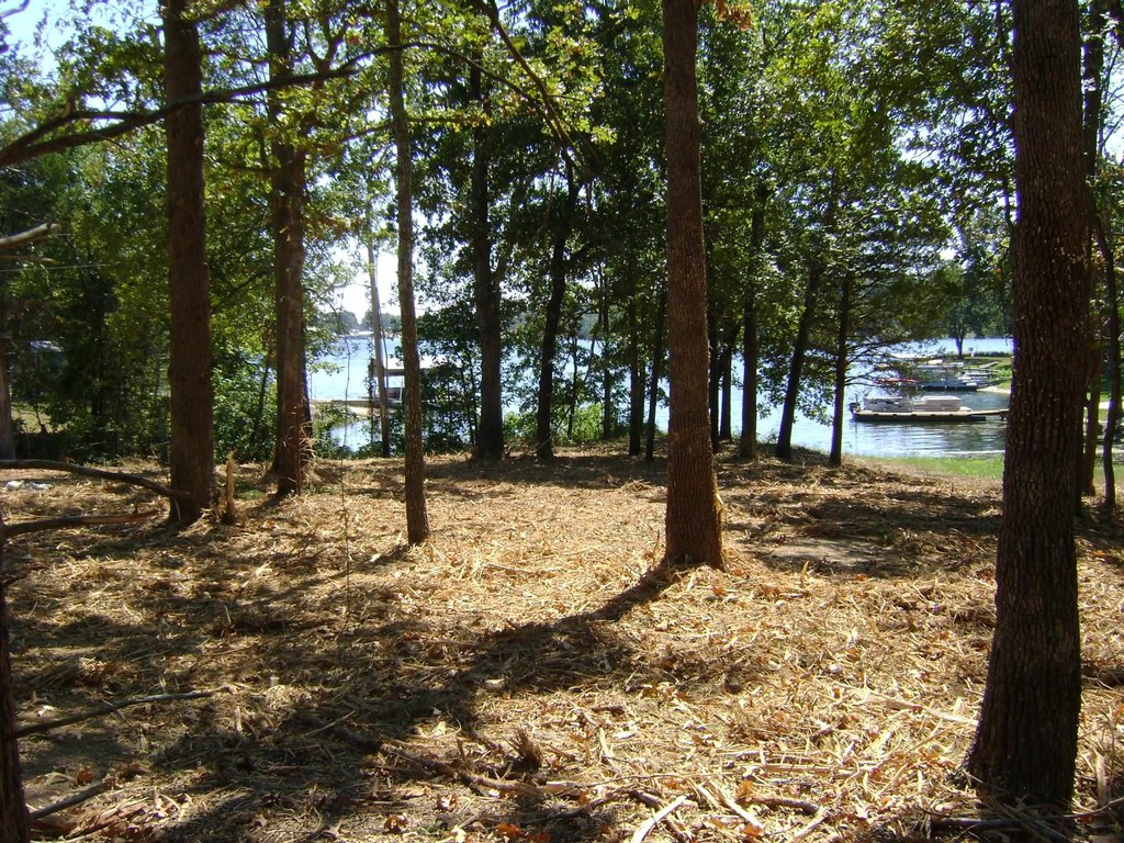 Picture 5
