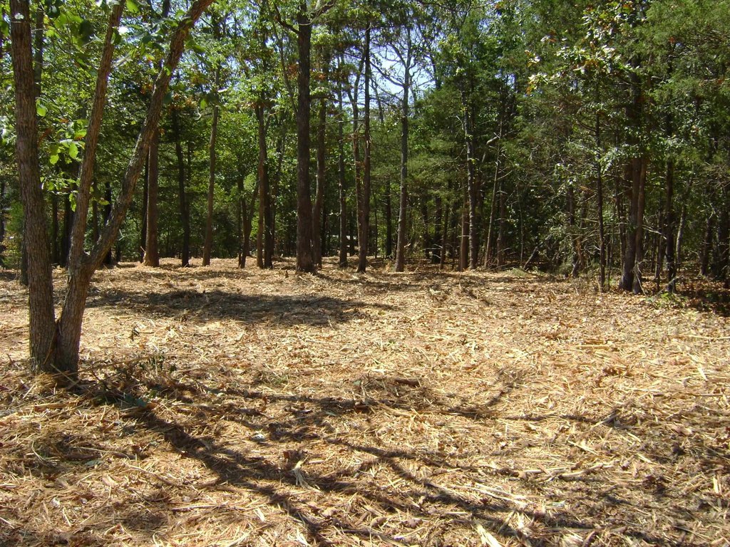 Picture 12