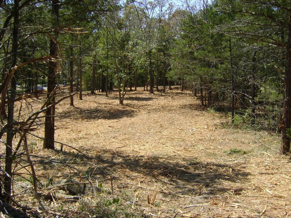 Picture 11