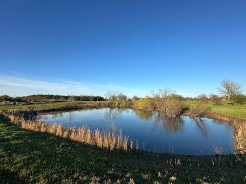 Agricultural Land with Pond