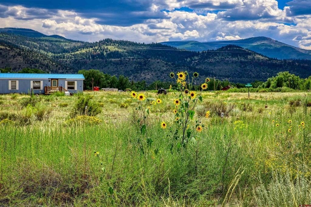 Picture 27