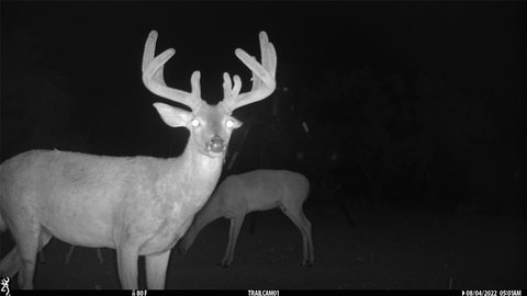 Turn-Key Hunter's Paradise in Goldsboro