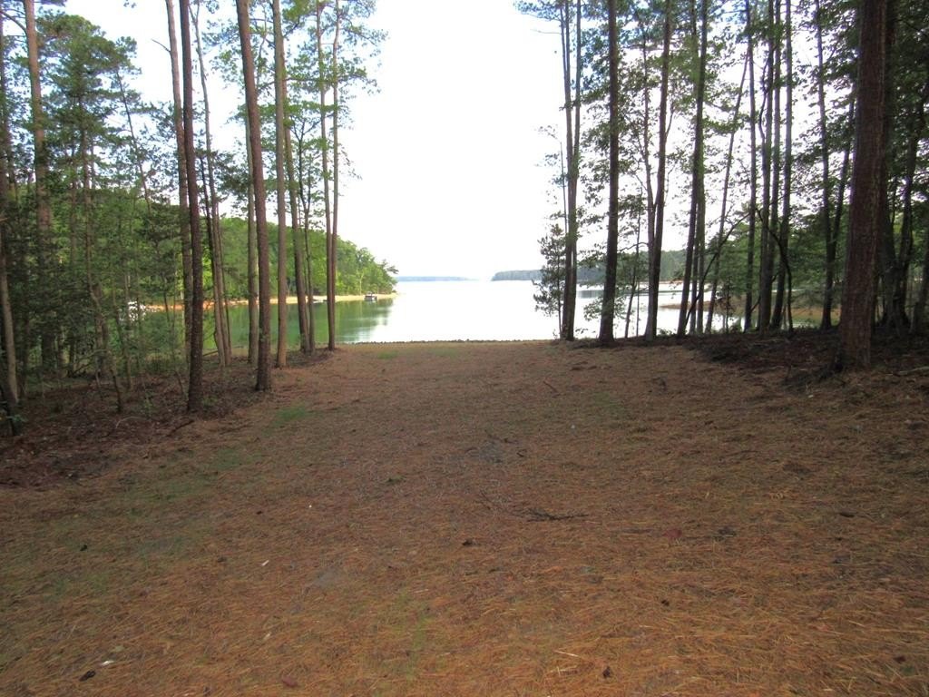 Picture 4