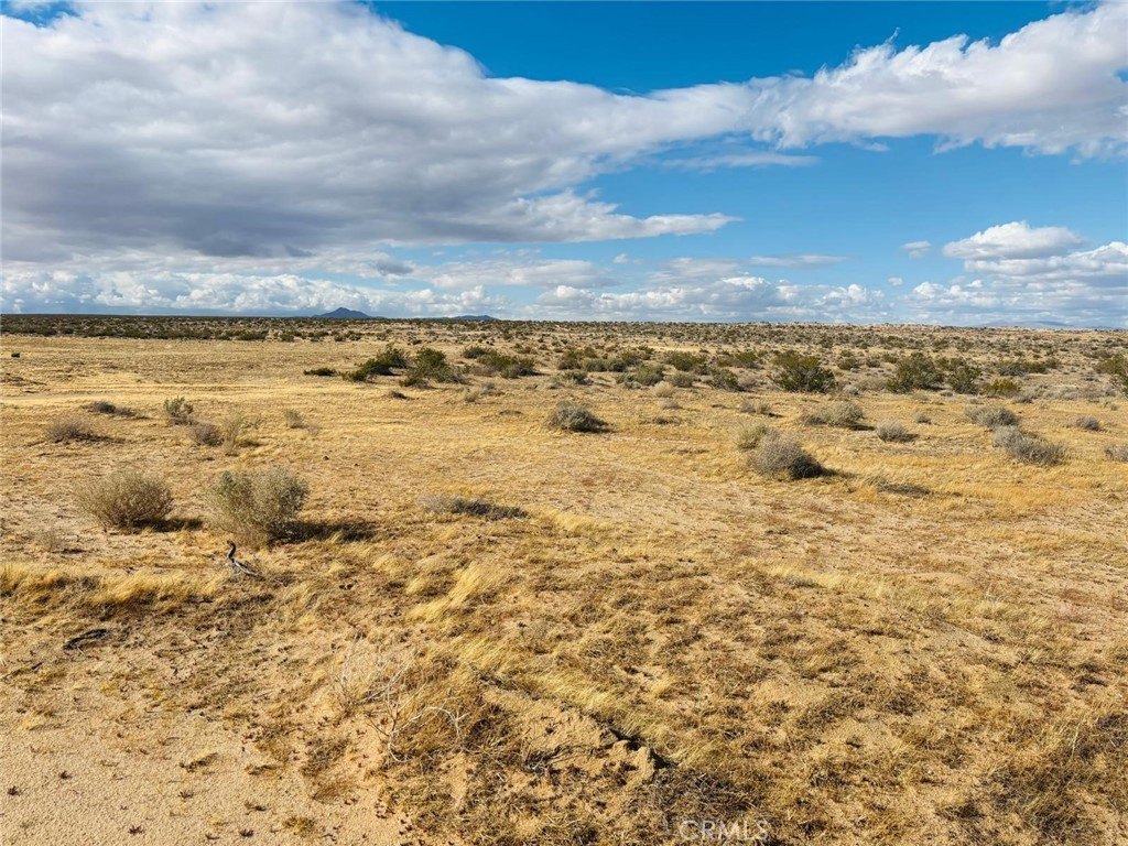 5 Acres Untouched Land Hinkley