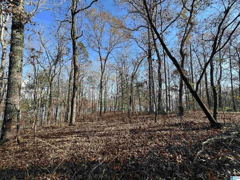 LAND - SYLACAUGA, AL