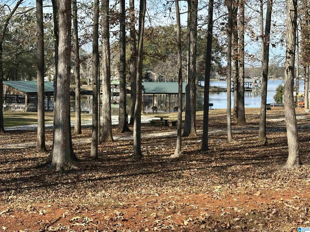 Picture 21
