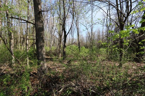 LAND - Niles, MI