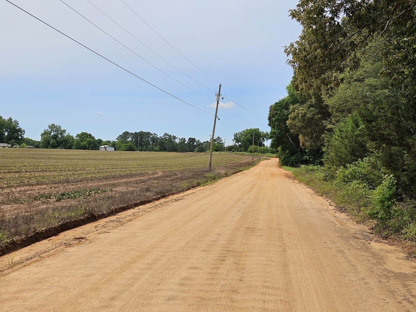 Unrestricted Land in Midland City