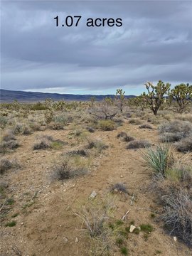 Dolan Springs Land with Views