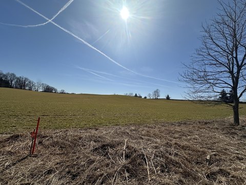 Saline Township 10-Acre Land Parcel