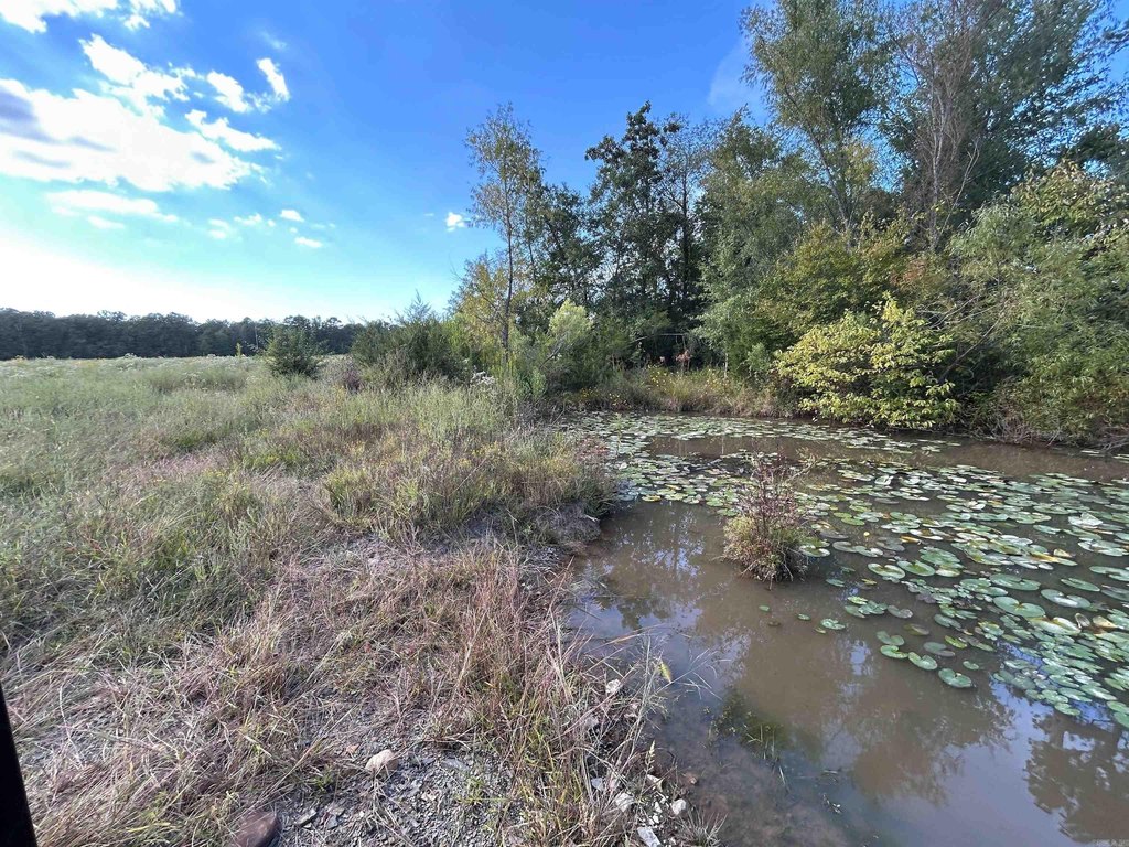 Picture 18