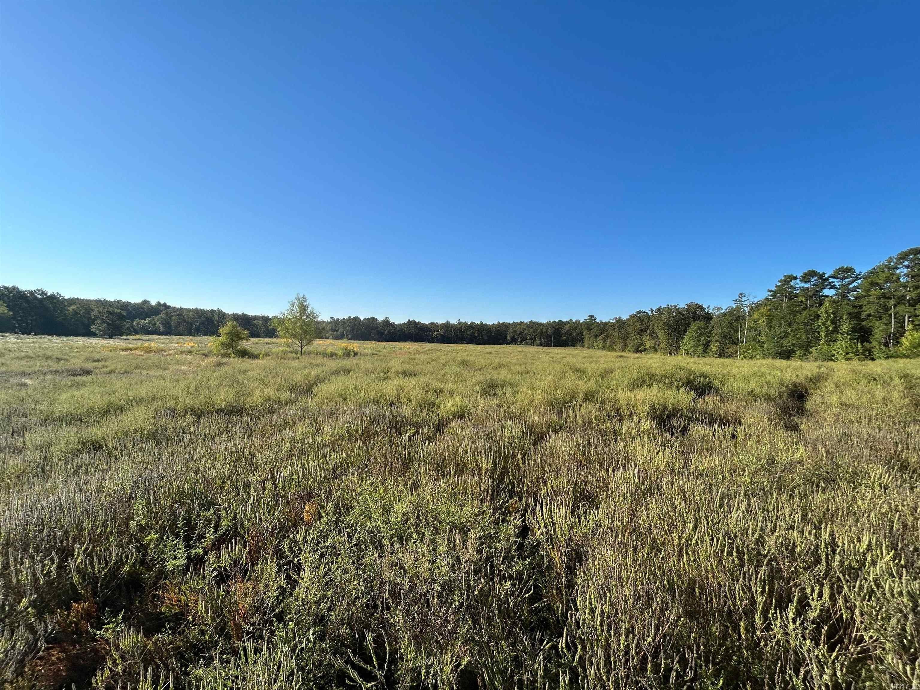 22.5 Acres Near Mena, Arkansas