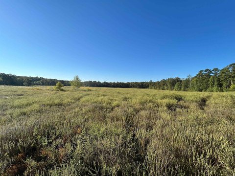 22.5 Acres Near Mena, Arkansas