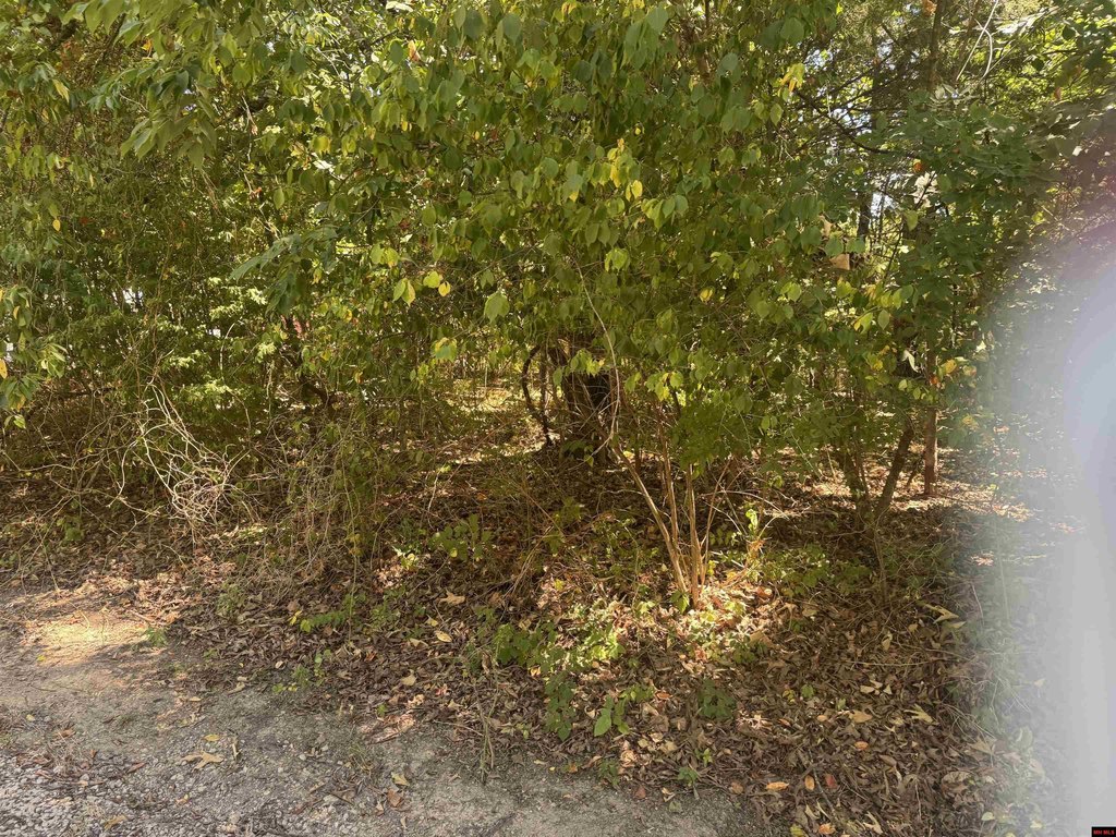 Picture 4