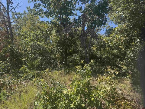 LAND, Bull Shoals, AR
