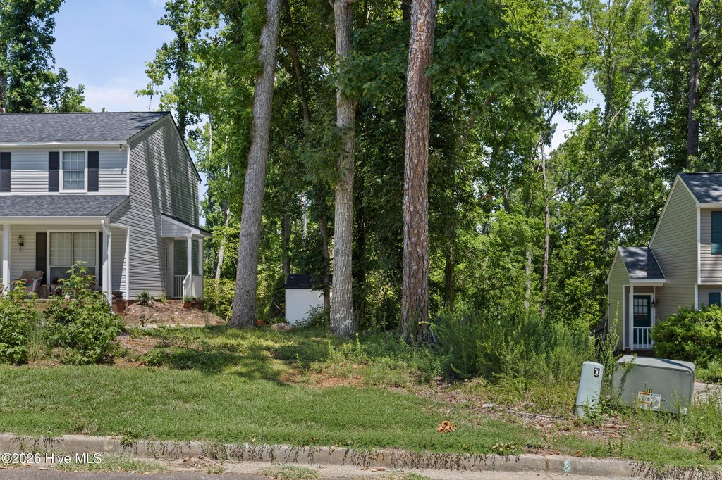 Picture 9