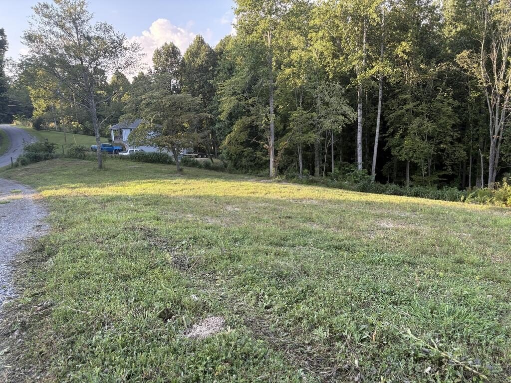 Picture 28